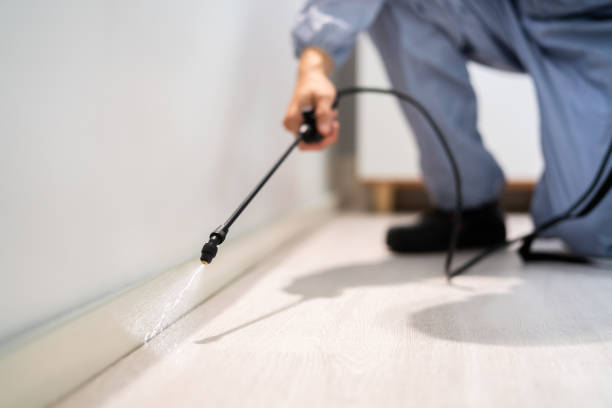 Bed Bug Pre-Treatment Preparation Assessment in Seabrook